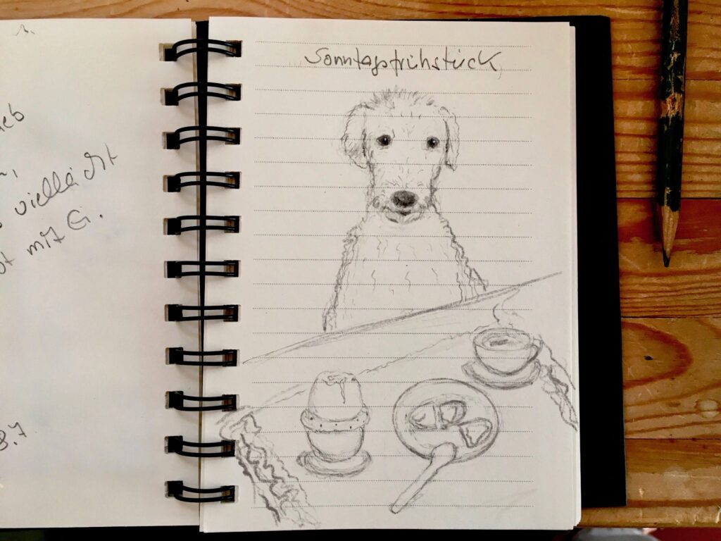 Skizze von meinem Hund am Frühstückstisch, Bleistift