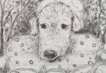 Bildausschnitt von einer Hundeskizze