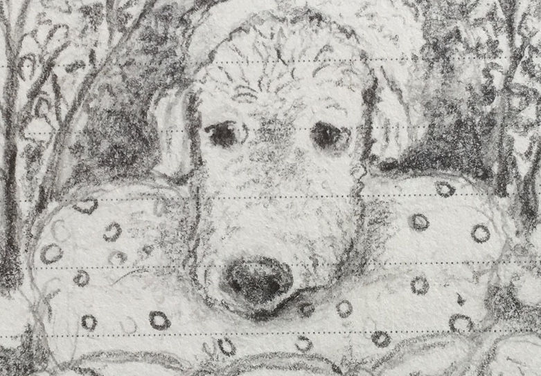 Bildausschnitt von einer Hundeskizze